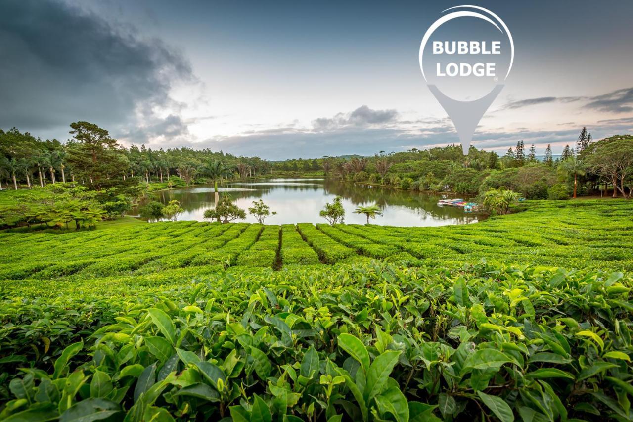 Bubble Lodge Bois Cheri Plantation Exterior foto