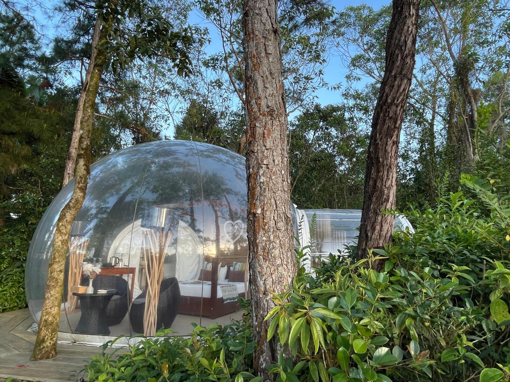 Bubble Lodge Bois Cheri Plantation Exterior foto